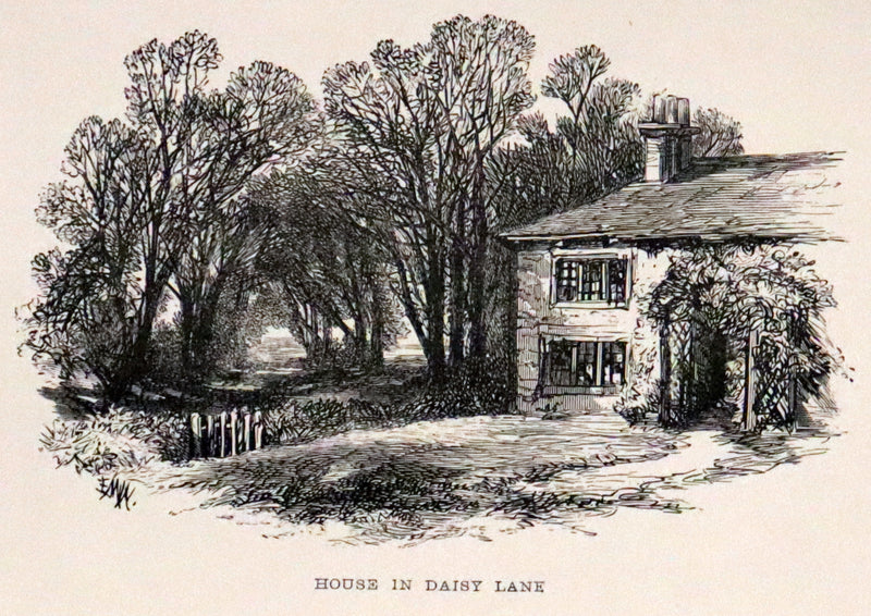 1893 Scarce Victorian Edition - Life and Works of Charlotte Brontë and Her Sisters (7 Volume Box Set). Jane Eyre, Wuthering Heights, etc.