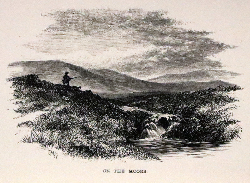 1893 Scarce Victorian Edition - Life and Works of Charlotte Brontë and Her Sisters (7 Volume Box Set). Jane Eyre, Wuthering Heights, etc.