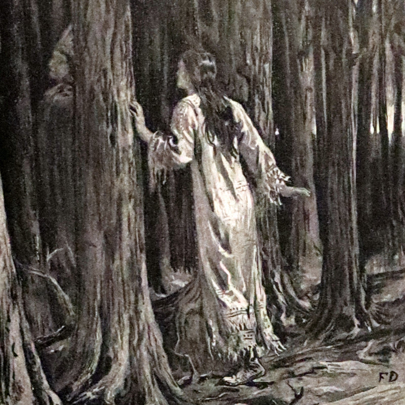 1893 Rare Victorian Book - Evangeline, A tale of Acadie by Henry Wadsworth Longfellow. Illustrated.