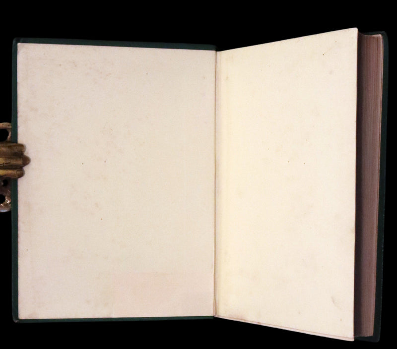 1886 Rare Books - Abandoned (The Mysterious Island) by Jules Verne. Illustrated.