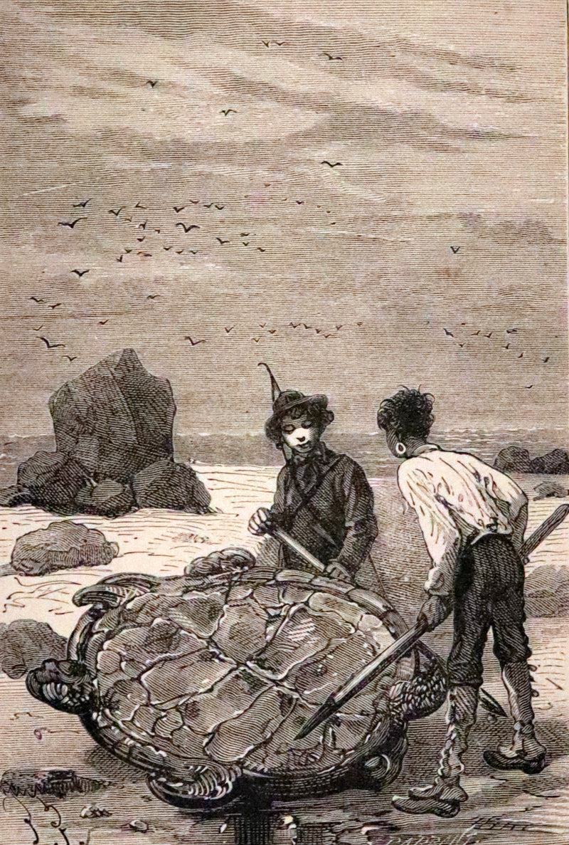 1886 Rare Books - Abandoned (The Mysterious Island) by Jules Verne. Illustrated.