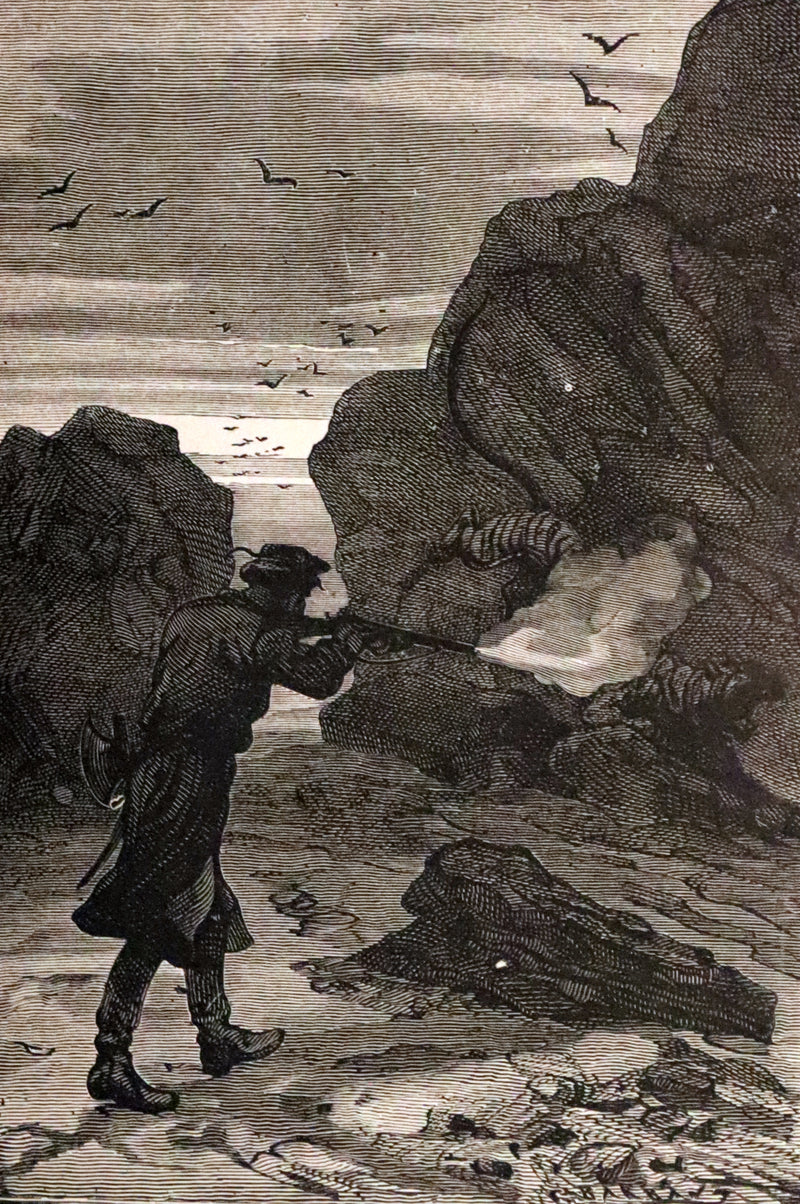 1886 Rare Books - Abandoned (The Mysterious Island) by Jules Verne. Illustrated.