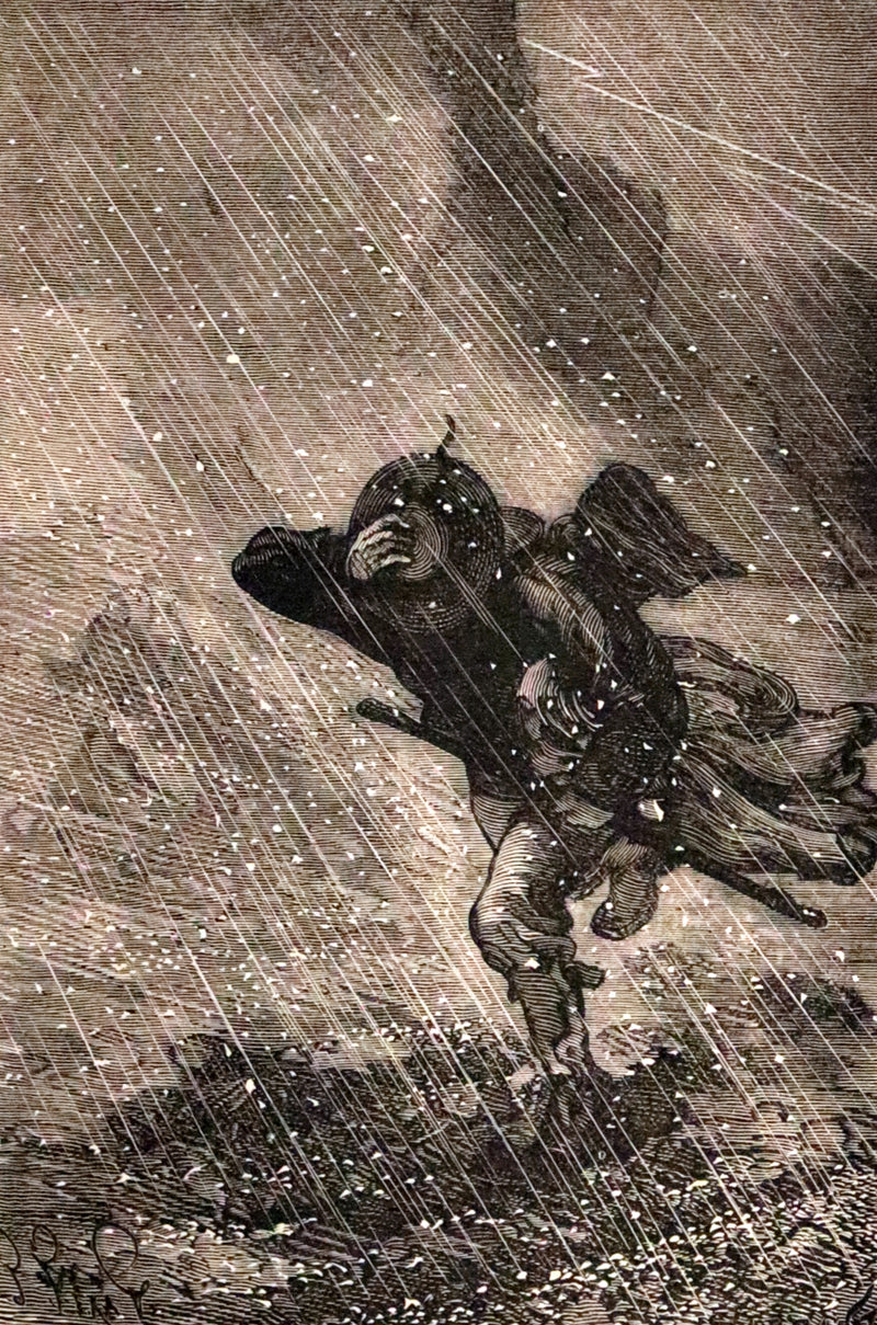 1886 Rare Books - Abandoned (The Mysterious Island) by Jules Verne. Illustrated.