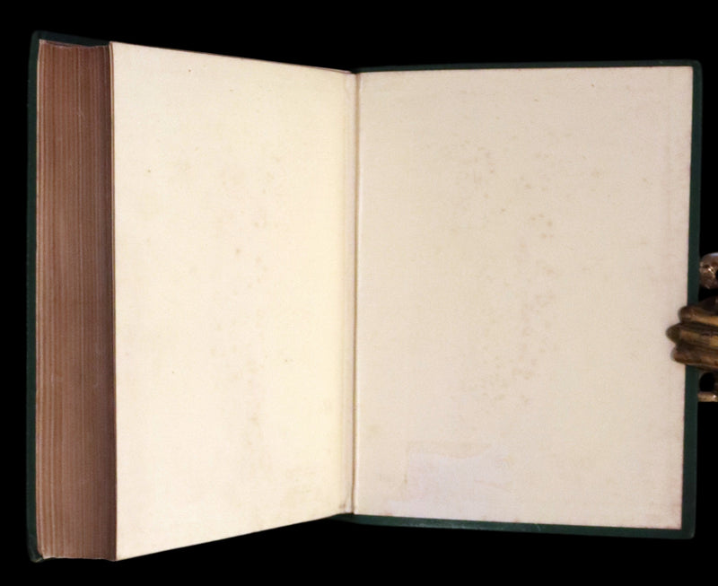 1886 Rare Books - Abandoned (The Mysterious Island) by Jules Verne. Illustrated.