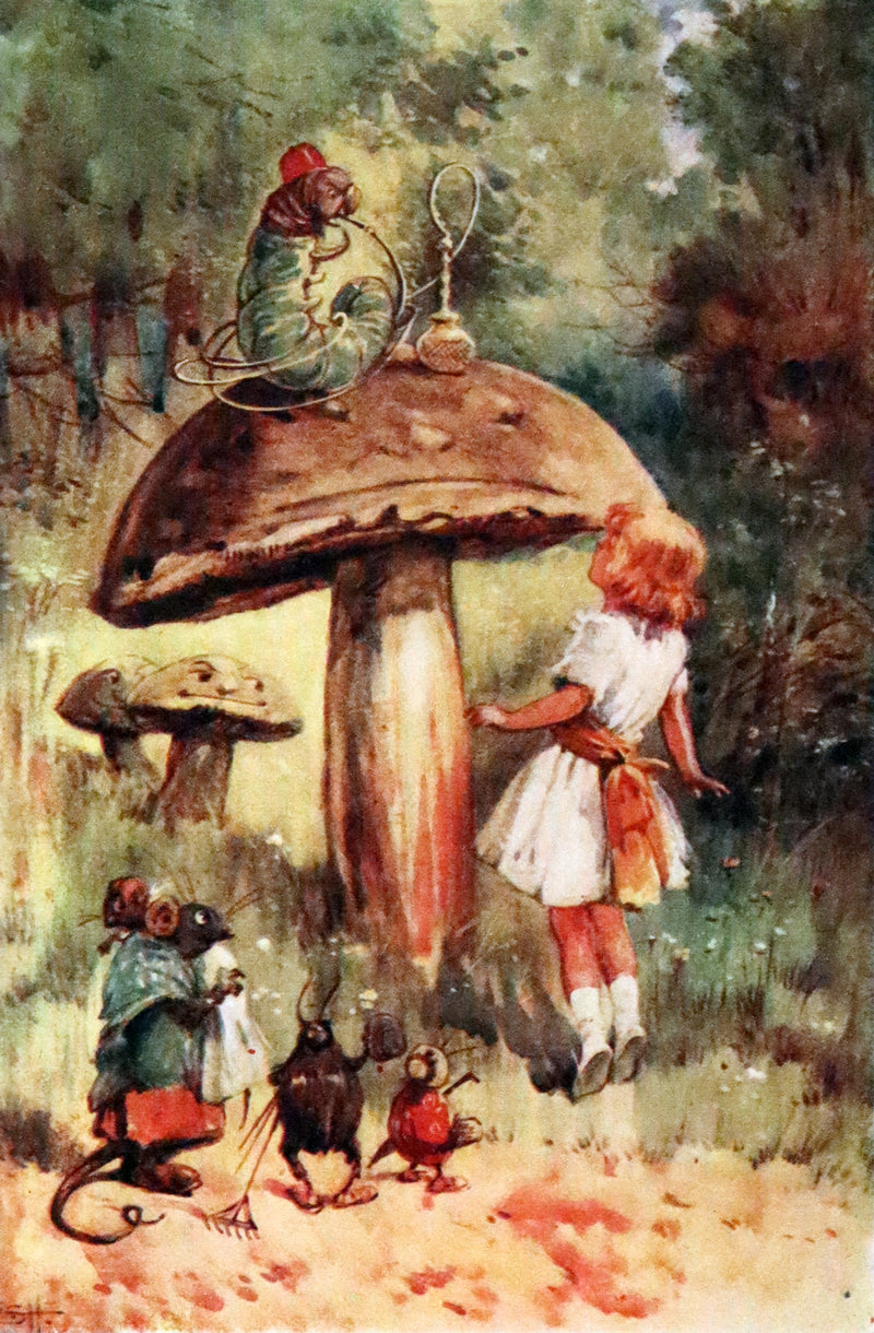 1908 Scarce Edition - Alice's Adventures in Wonderland Illustrated by Evelyn Stuart Hardy.