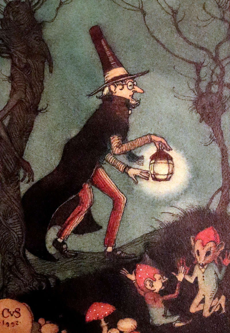 1993 Scarce First Edition - How to See Fairies by Charles van Sandwyk. Fairy Press.