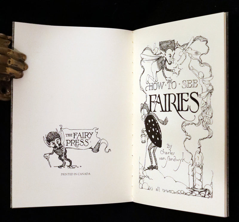 1993 Scarce First Edition - How to See Fairies by Charles van Sandwyk. Fairy Press.