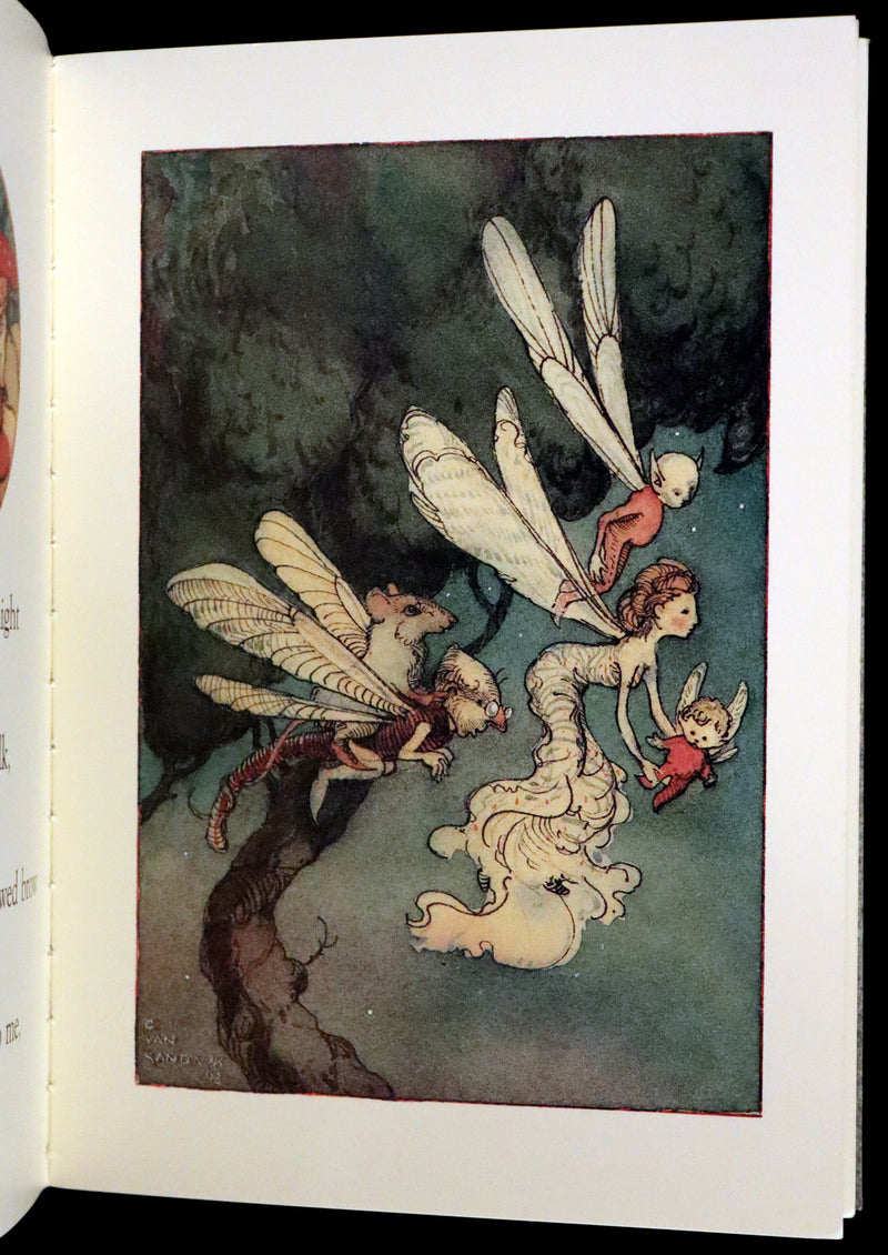 1993 Scarce First Edition - How to See Fairies by Charles van Sandwyk. Fairy Press.