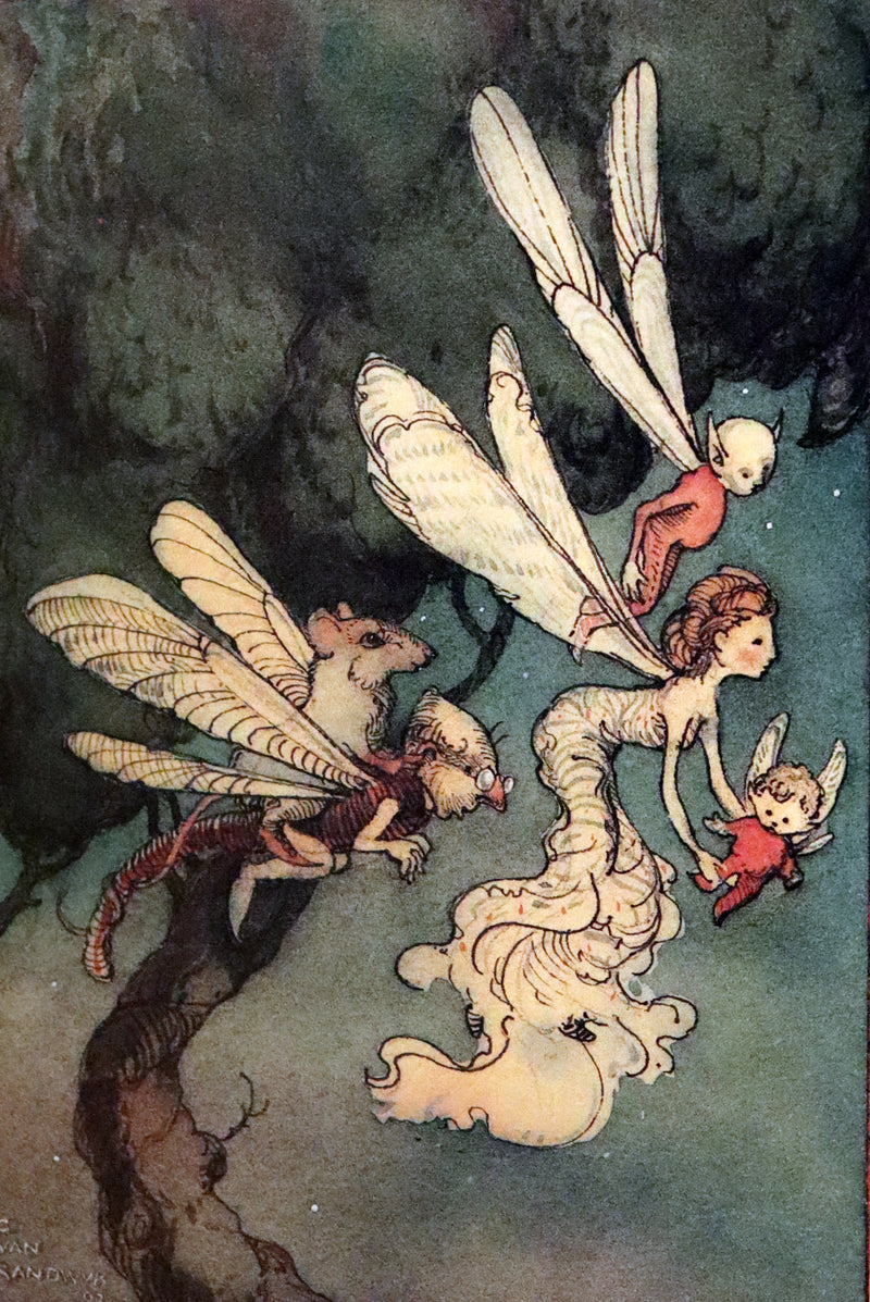 1993 Scarce First Edition - How to See Fairies by Charles van Sandwyk. Fairy Press.