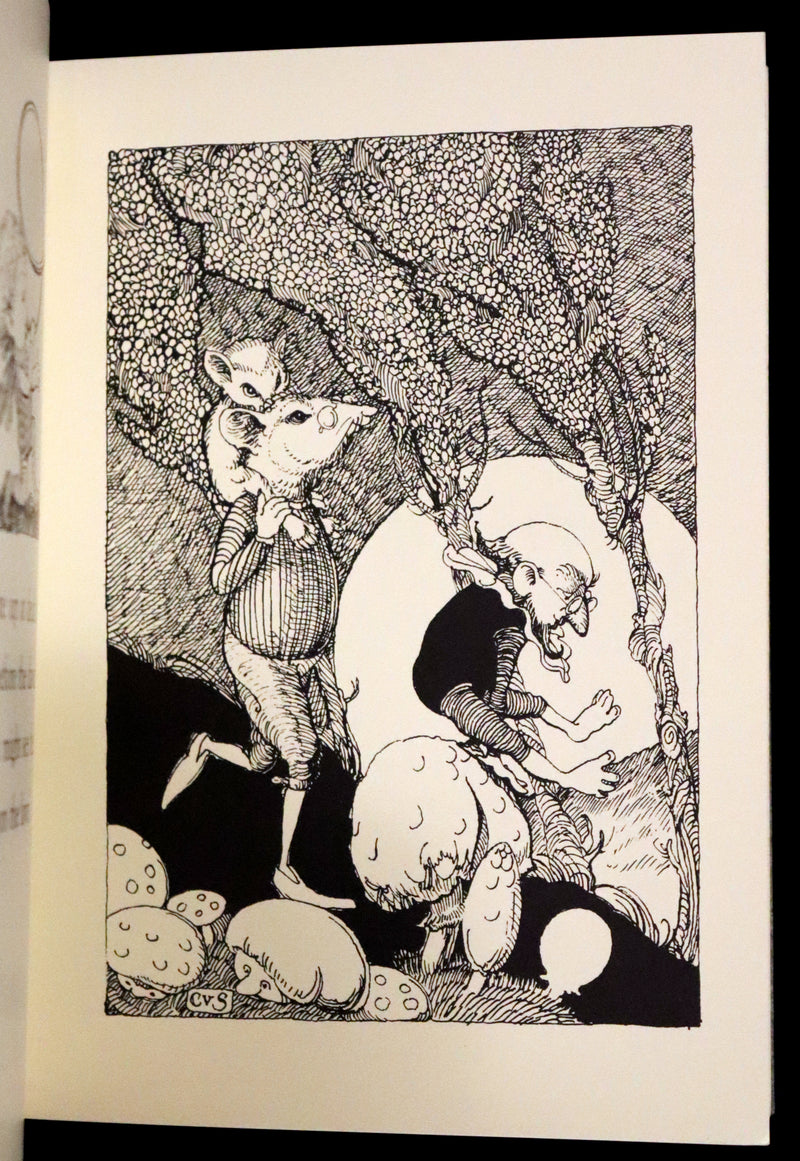 1993 Scarce First Edition - How to See Fairies by Charles van Sandwyk. Fairy Press.