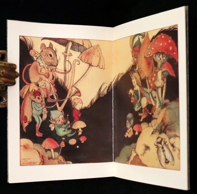 1993 Scarce First Edition - How to See Fairies by Charles van Sandwyk. Fairy Press.