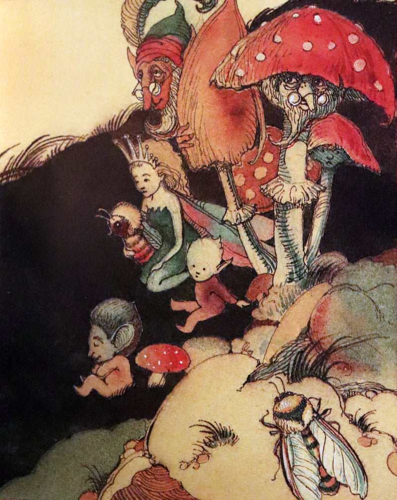 1993 Scarce First Edition - How to See Fairies by Charles van Sandwyk. Fairy Press.