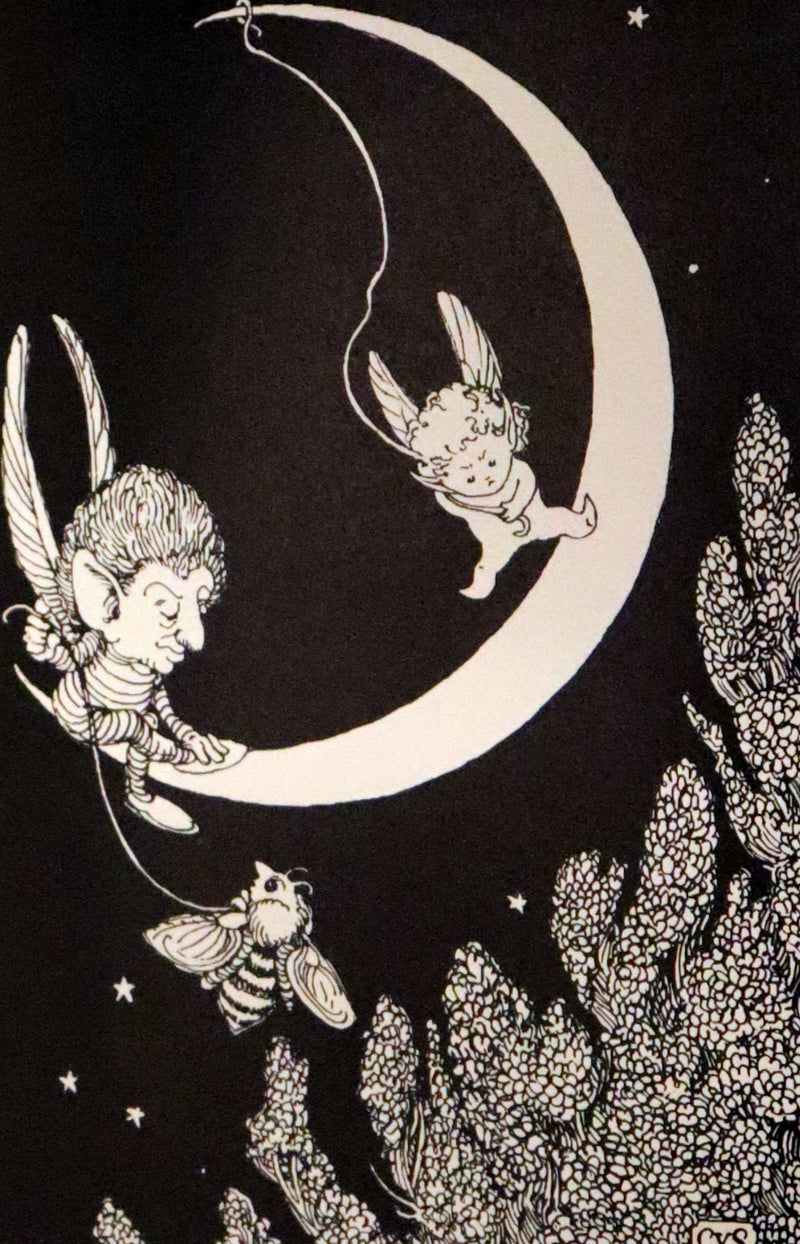 1993 Scarce First Edition - How to See Fairies by Charles van Sandwyk. Fairy Press.