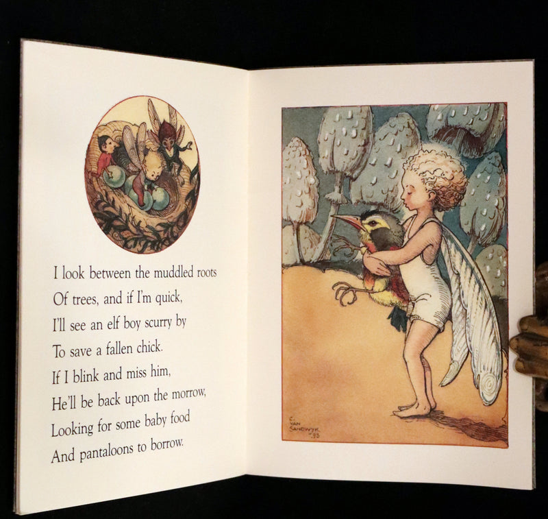 1993 Scarce First Edition - How to See Fairies by Charles van Sandwyk. Fairy Press.