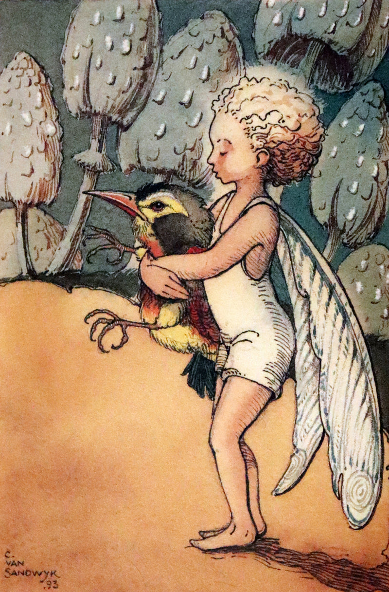 1993 Scarce First Edition - How to See Fairies by Charles van Sandwyk. Fairy Press.