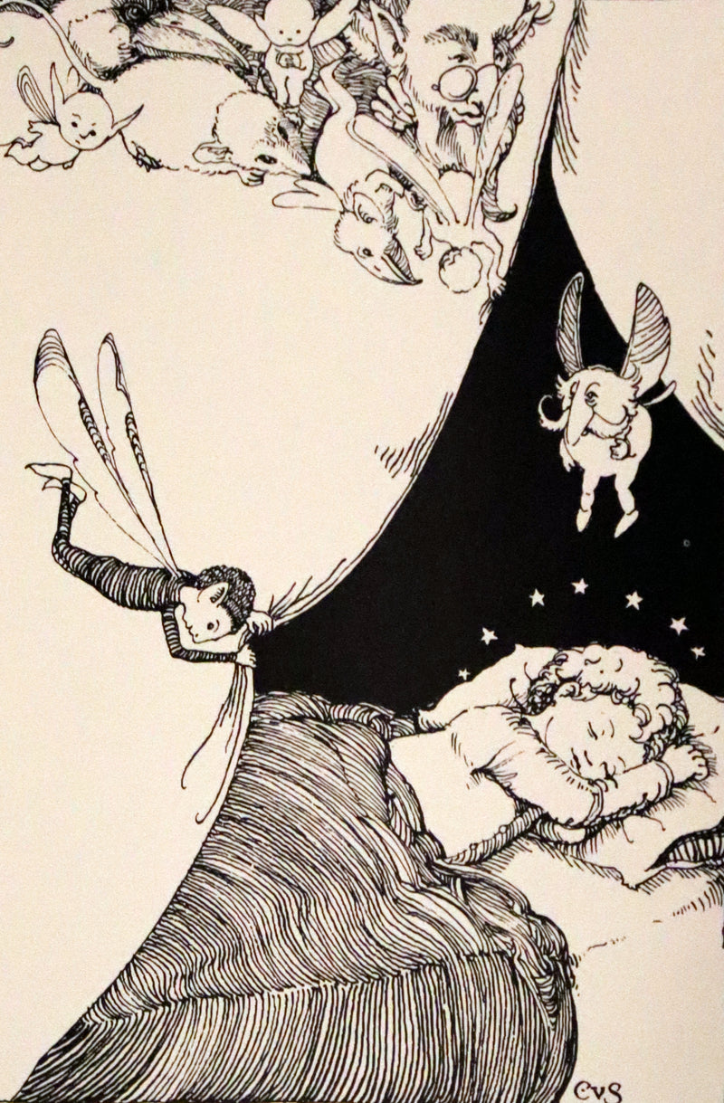 1993 Scarce First Edition - How to See Fairies by Charles van Sandwyk. Fairy Press.