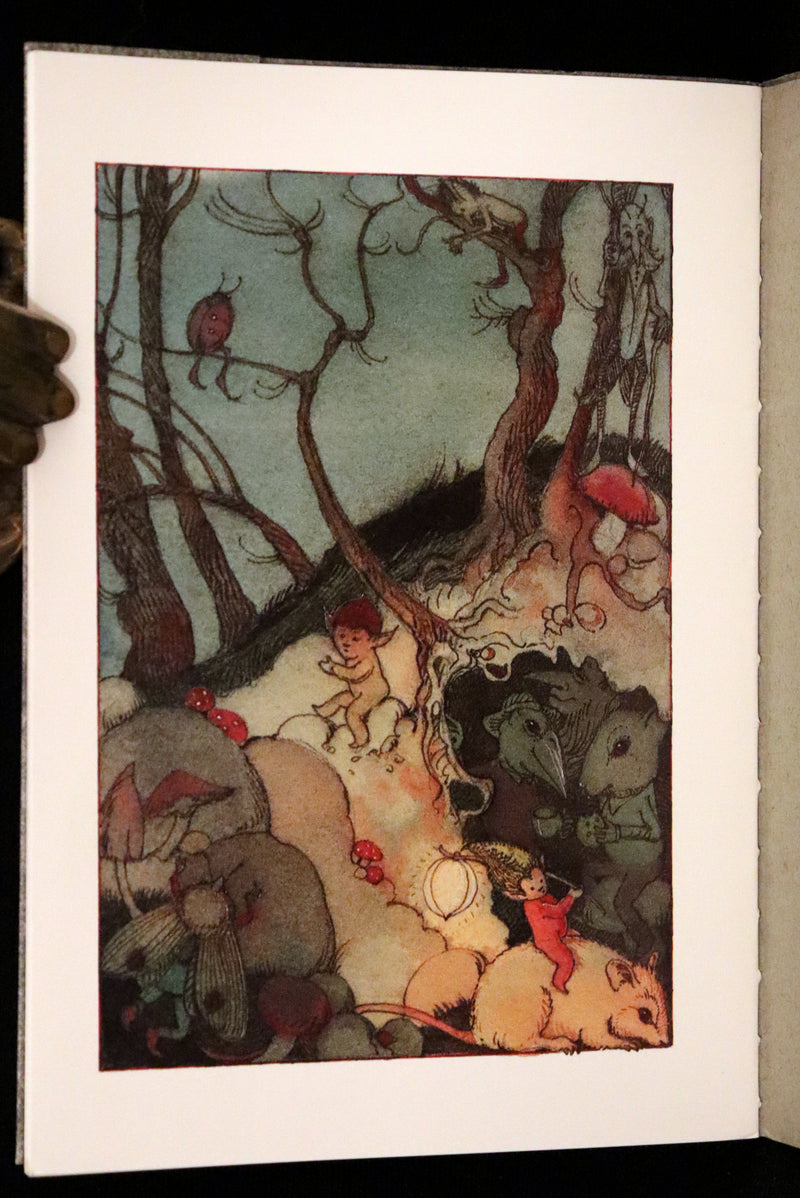 1993 Scarce First Edition - How to See Fairies by Charles van Sandwyk. Fairy Press.