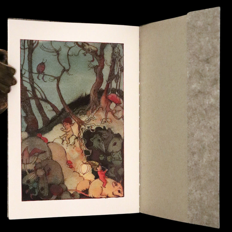 1993 Scarce First Edition - How to See Fairies by Charles van Sandwyk. Fairy Press.