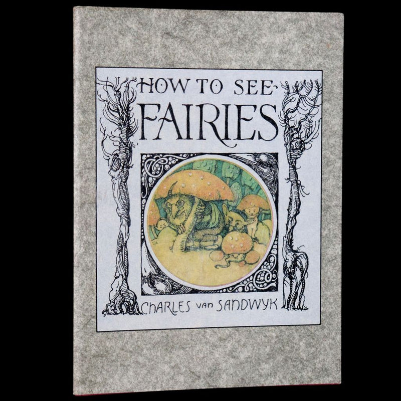1993 Scarce First Edition - How to See Fairies by Charles van Sandwyk. Fairy Press.