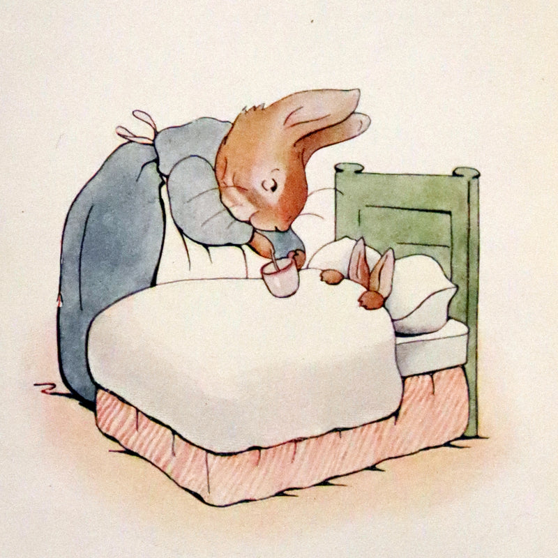 1906 Rare Early Edition - The Tale of Peter Rabbit written and illustrated by Beatrix Potter.