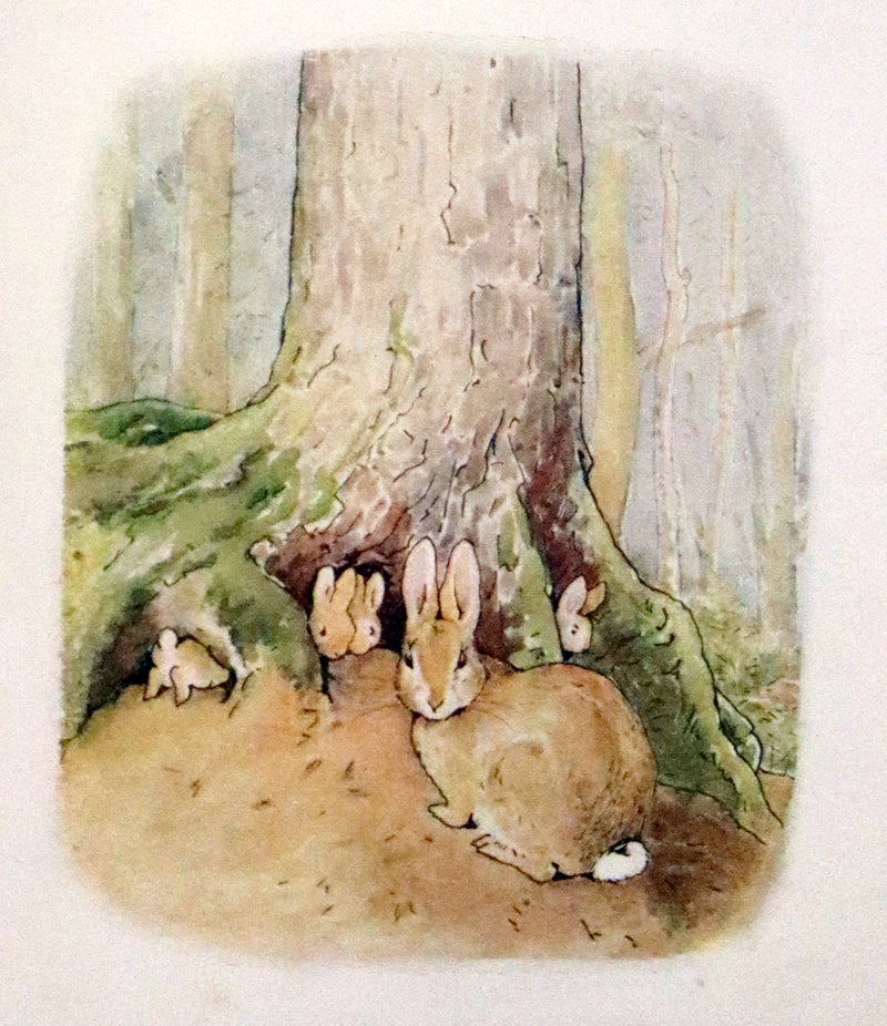 1906 Rare Early Edition - The Tale of Peter Rabbit written and illustrated by Beatrix Potter.