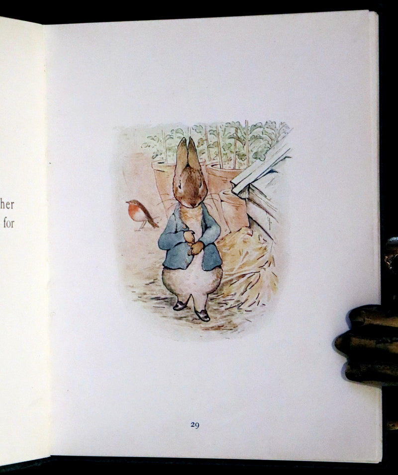 1906 Rare Early Edition - The Tale of Peter Rabbit written and illustrated by Beatrix Potter.