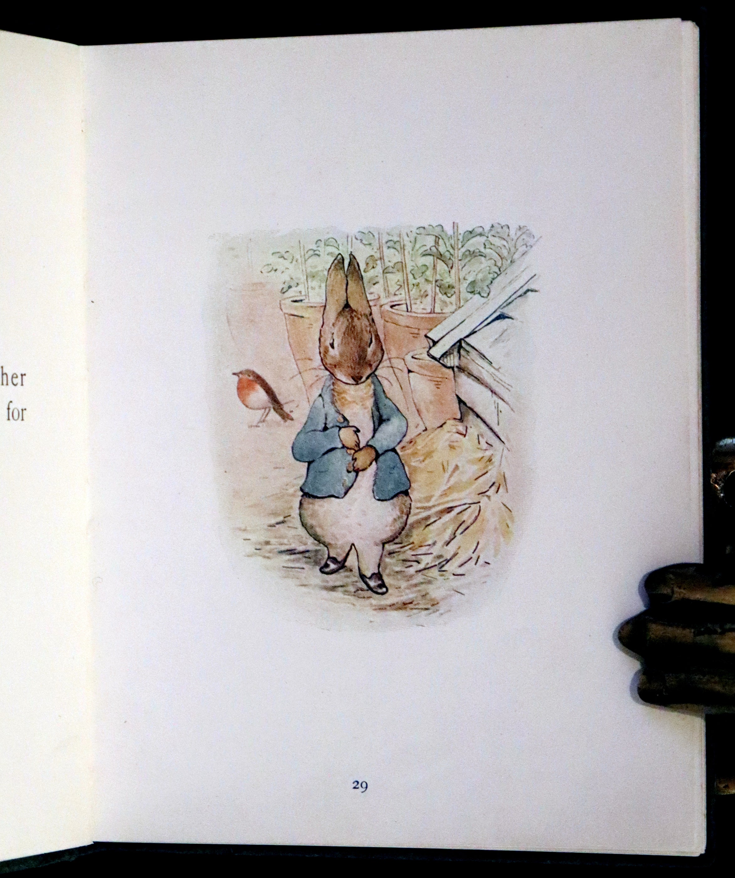 1906 Rare Early Edition - The Tale of Peter Rabbit written and ...