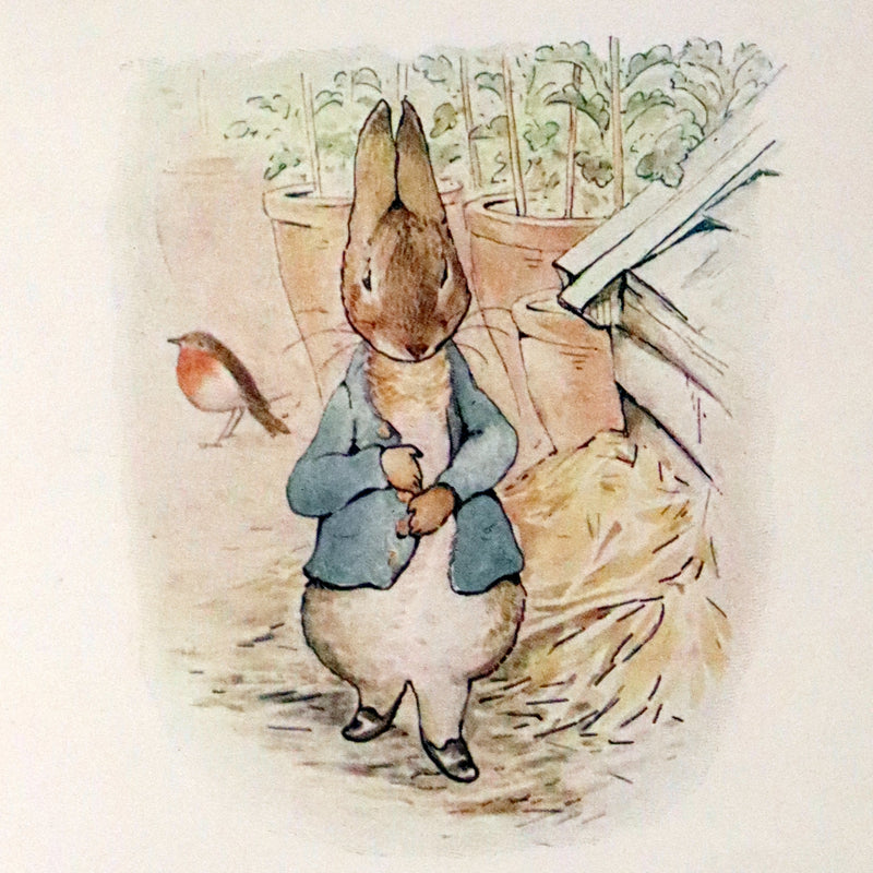 1906 Rare Early Edition - The Tale of Peter Rabbit written and illustrated by Beatrix Potter.