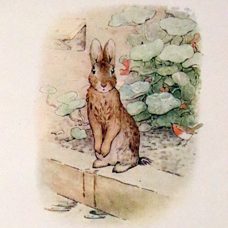 1906 Rare Early Edition - The Tale of Peter Rabbit written and illustrated by Beatrix Potter.