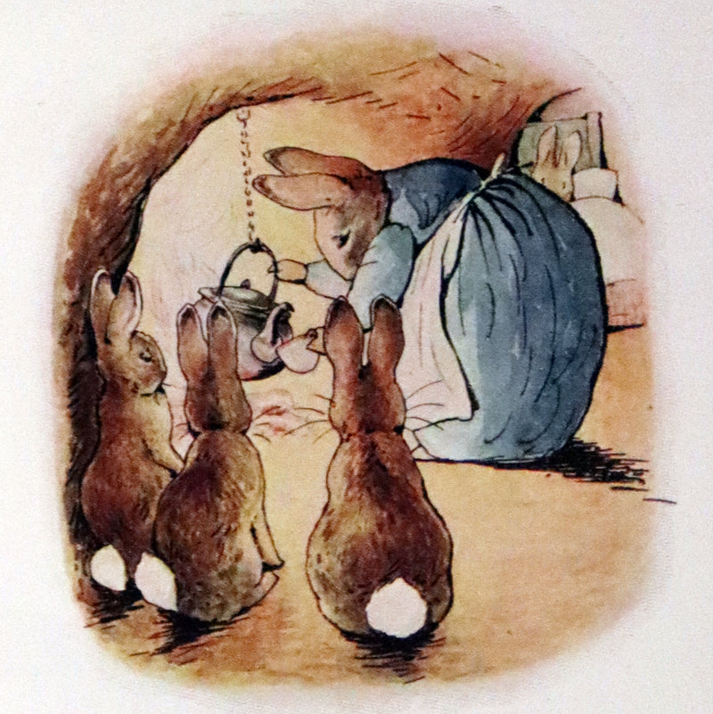 1906 Rare Early Edition - The Tale of Peter Rabbit written and illustrated by Beatrix Potter.