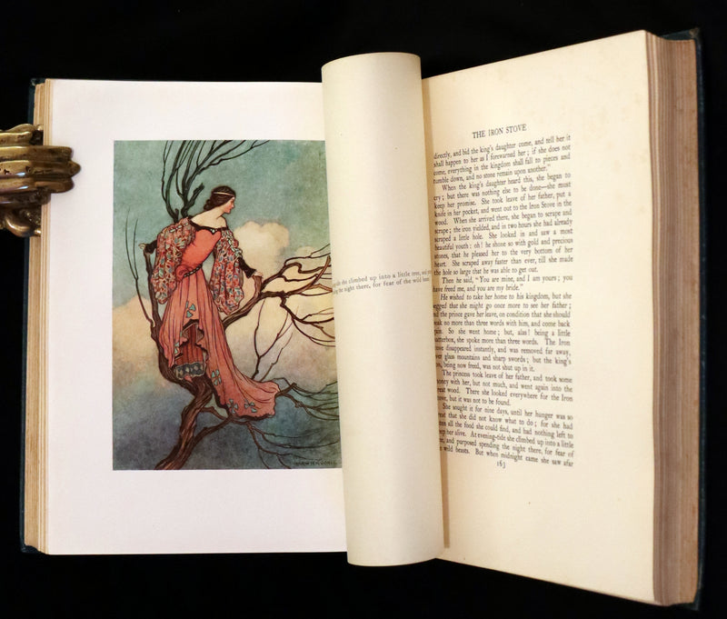 1913 Rare First Edition - The Fairy Book Illustrated in color by Warwick Goble.