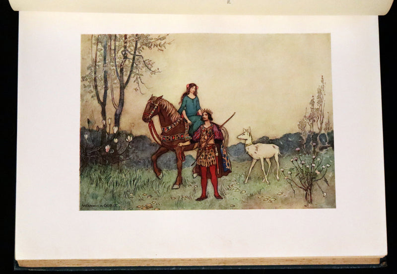 1913 Rare First Edition - The Fairy Book Illustrated in color by Warwick Goble.