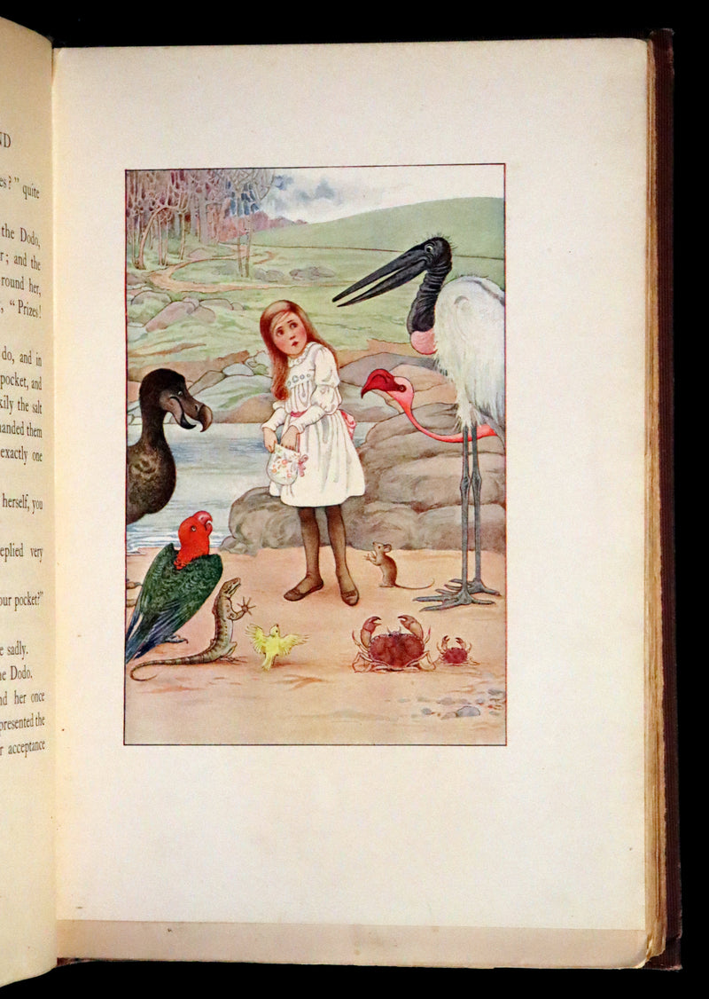 1908 Rare Book - Alice's Adventures in Wonderland Illustrated by Amy Millicent Sowerby. 1st US Edition.