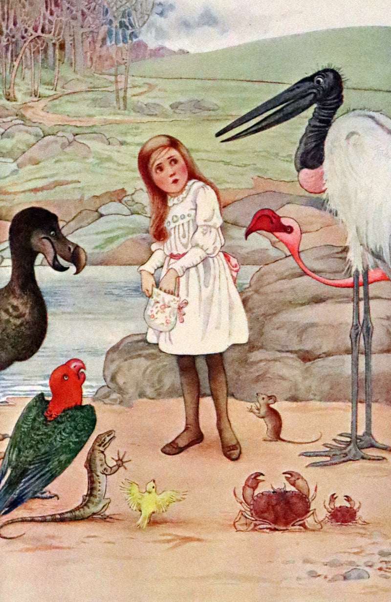 1908 Rare Book - Alice's Adventures in Wonderland Illustrated by Amy Millicent Sowerby. 1st US Edition.