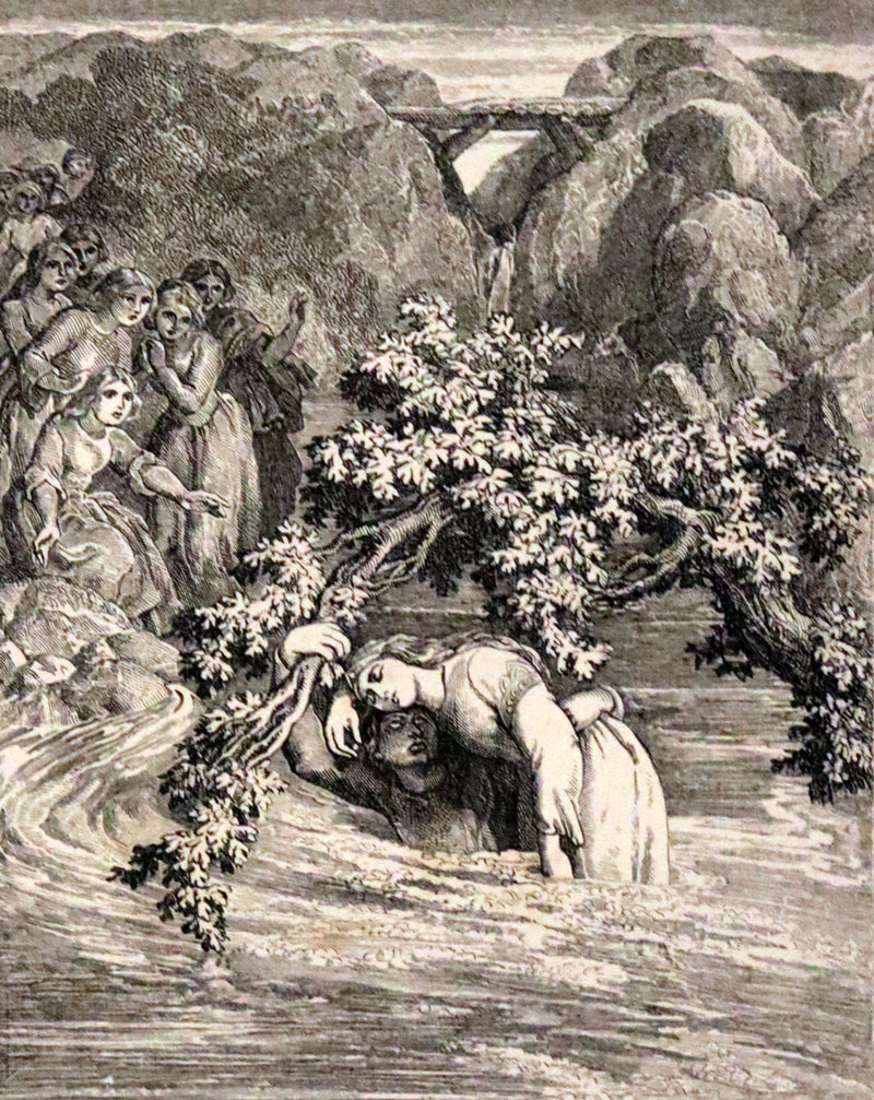 1860 Rare First illustrated Edition by Maclise - The Princess by Alfred Lord Tennyson.