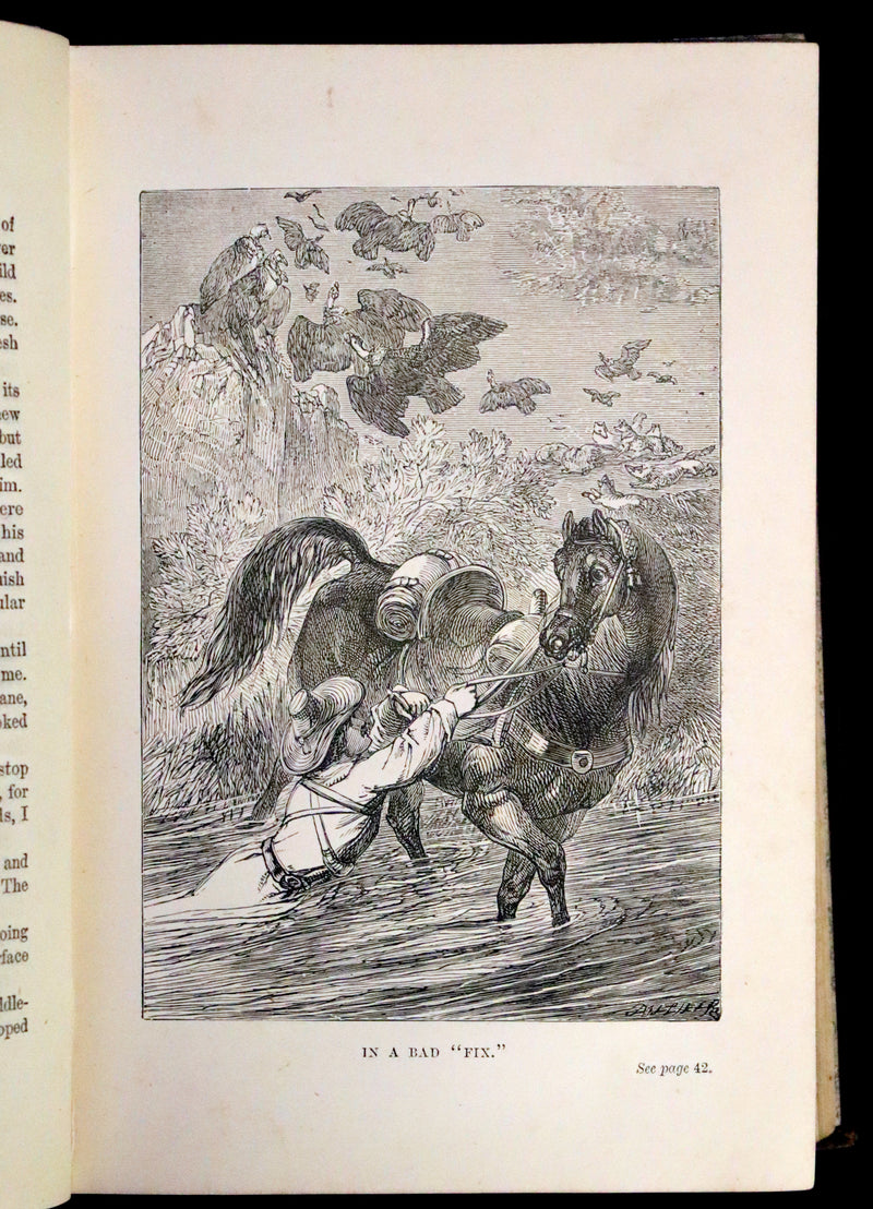 1880 Rare Book - The Scalp Hunters, adventure novel set in Northern Mexico by Captain Mayne Reid.