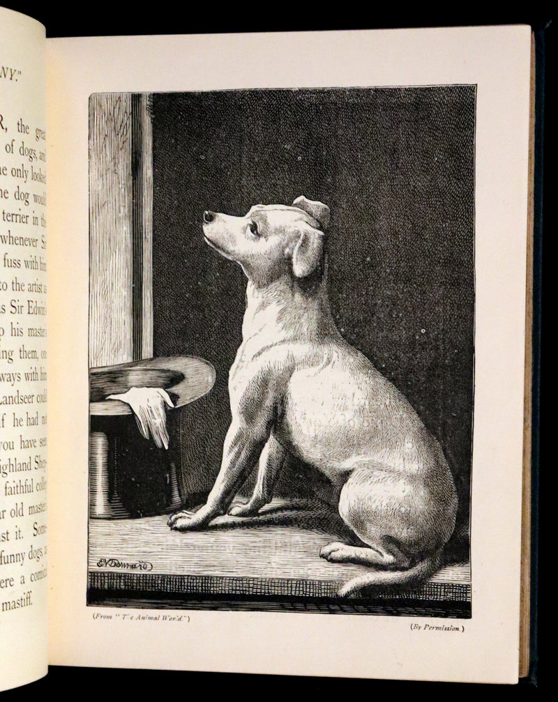 1880 Scarce Book - The Day Dawn Album with 150 full-page illustrations.