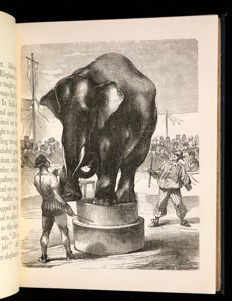 1880 Scarce Book - The Day Dawn Album with 150 full-page illustrations.