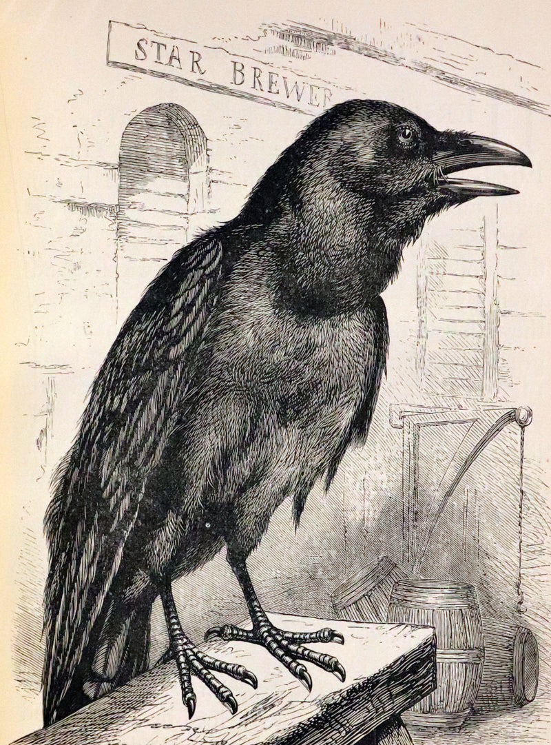 1880 Scarce Book - The Day Dawn Album with 150 full-page illustrations.
