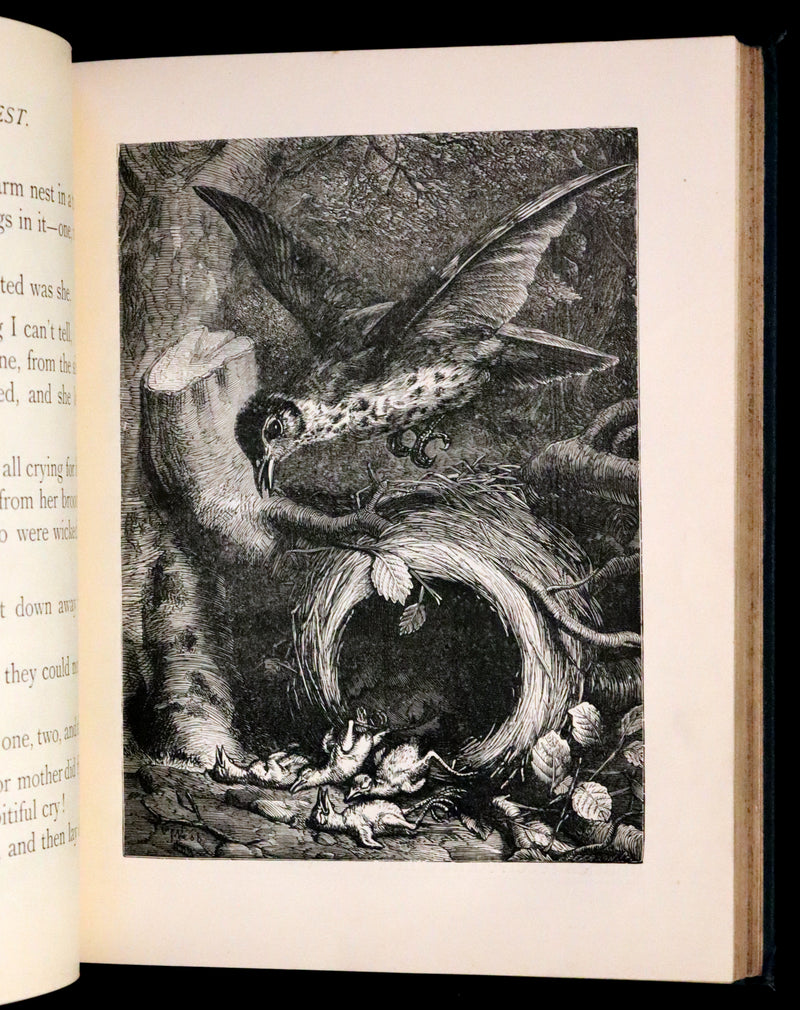 1880 Scarce Book - The Day Dawn Album with 150 full-page illustrations.