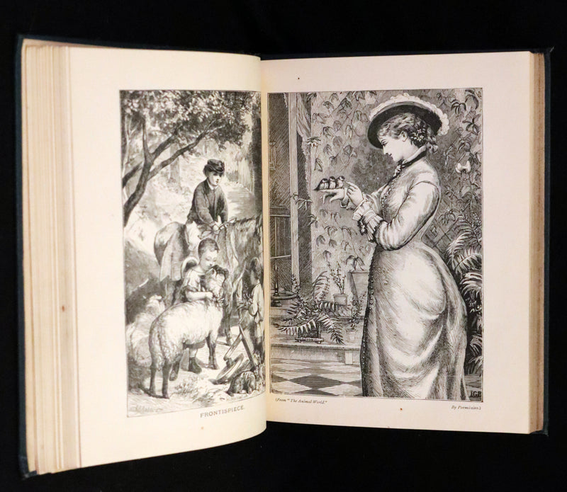 1880 Scarce Book - The Day Dawn Album with 150 full-page illustrations.