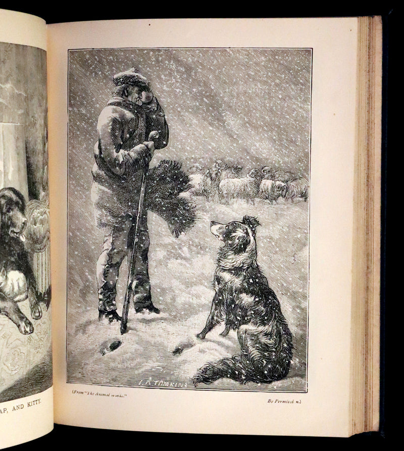 1880 Scarce Book - The Day Dawn Album with 150 full-page illustrations.