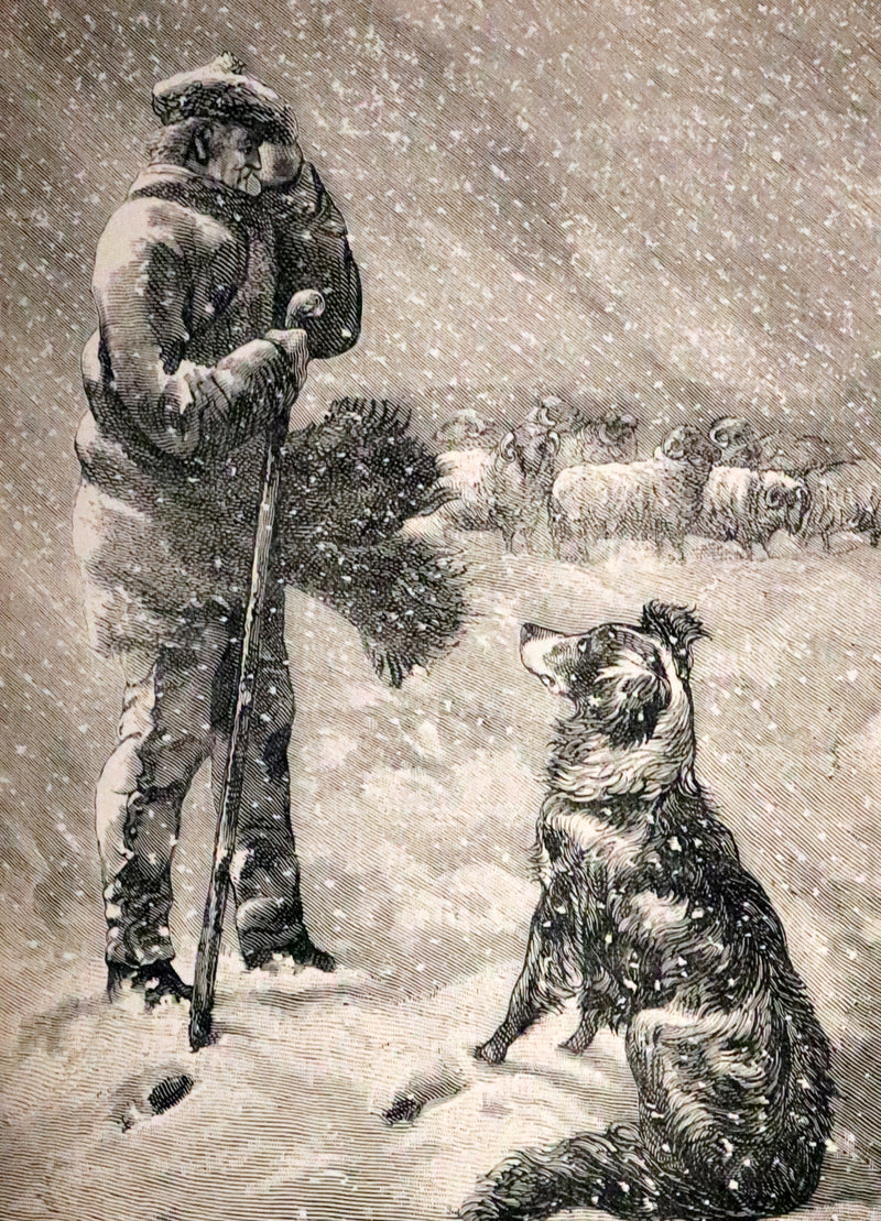 1880 Scarce Book - The Day Dawn Album with 150 full-page illustrations.