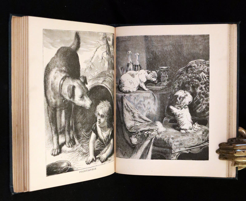 1880 Scarce Book - The Day Dawn Album with 150 full-page illustrations.
