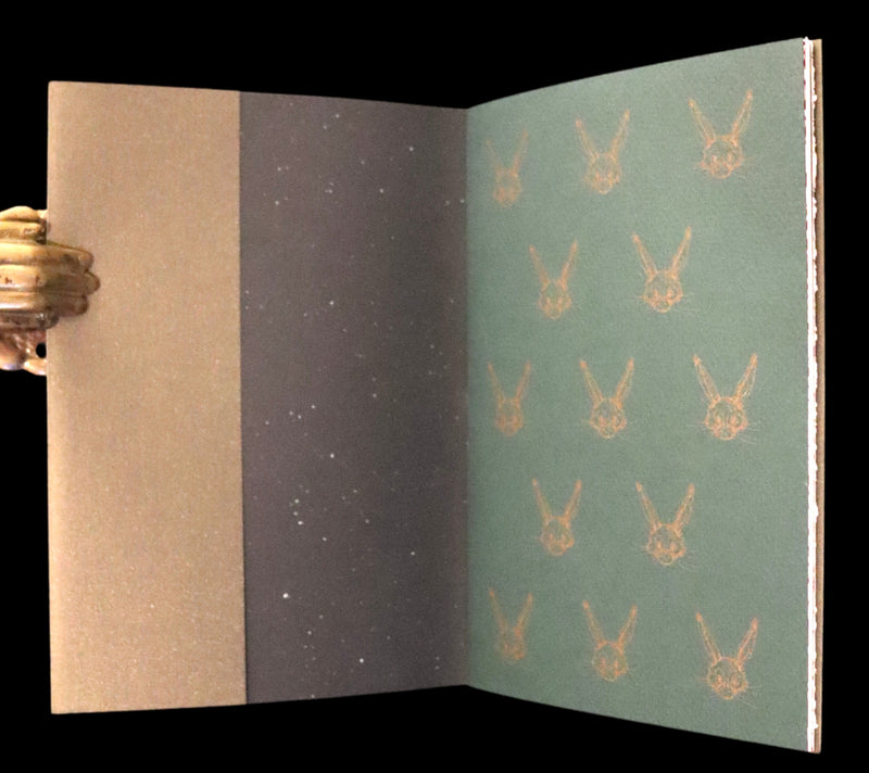 2004 Scarce First Edition - Mr. Rabbit's Christmas Wish Translated for Humans by Charles van Sandwyk.