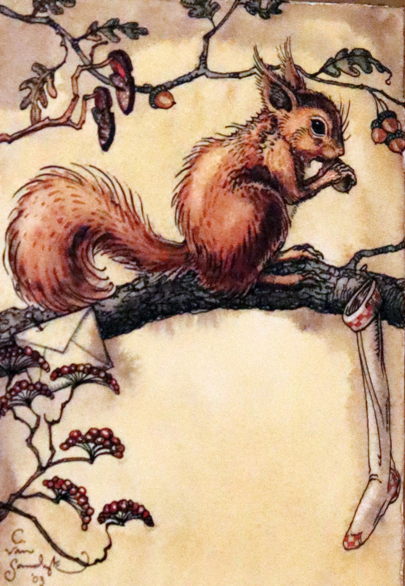 2004 Scarce First Edition - Mr. Rabbit's Christmas Wish Translated for Humans by Charles van Sandwyk.