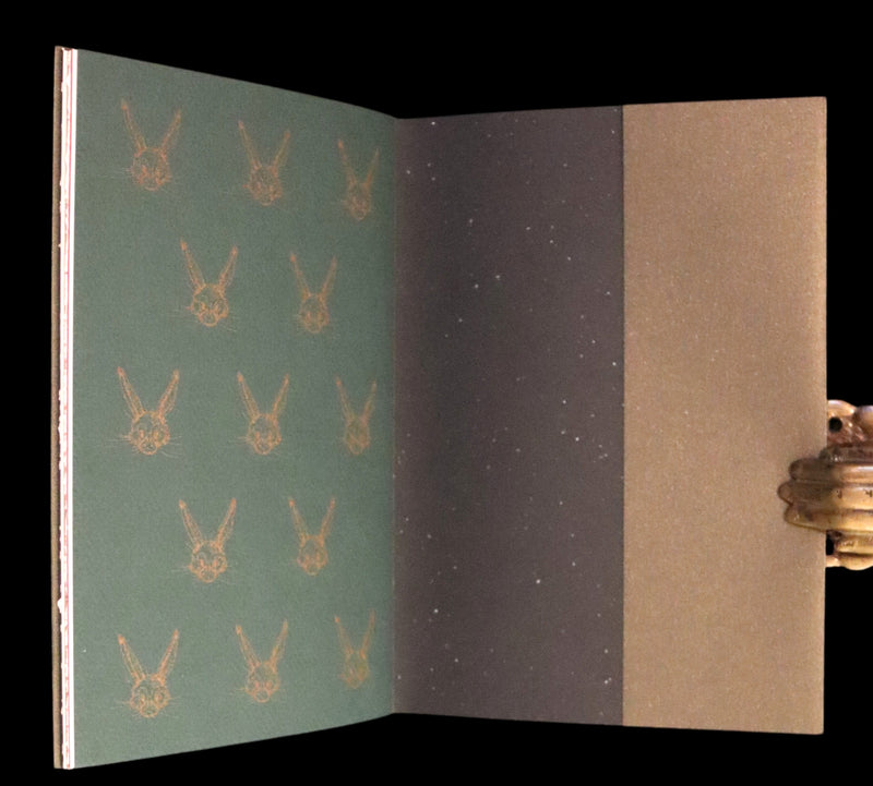 2004 Scarce First Edition - Mr. Rabbit's Christmas Wish Translated for Humans by Charles van Sandwyk.