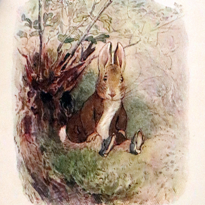 1904 First US Edition - The Tale of Benjamin Bunny by Beatrix Potter.