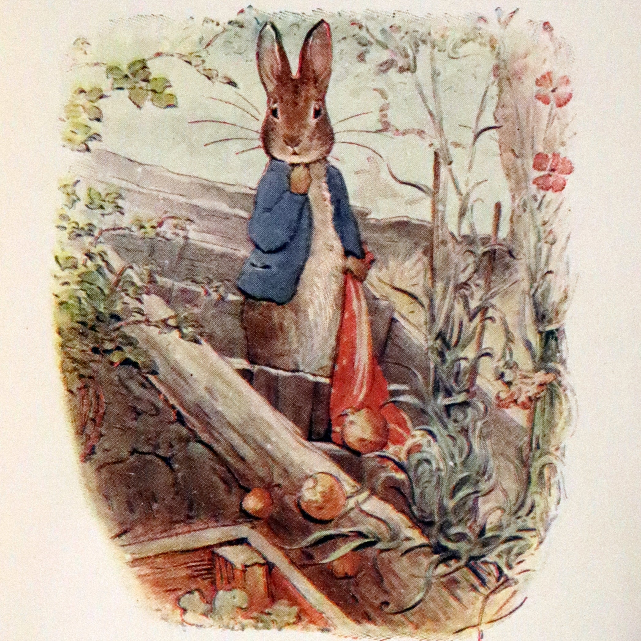 1904 First US Edition - The Tale of Benjamin Bunny by Beatrix
