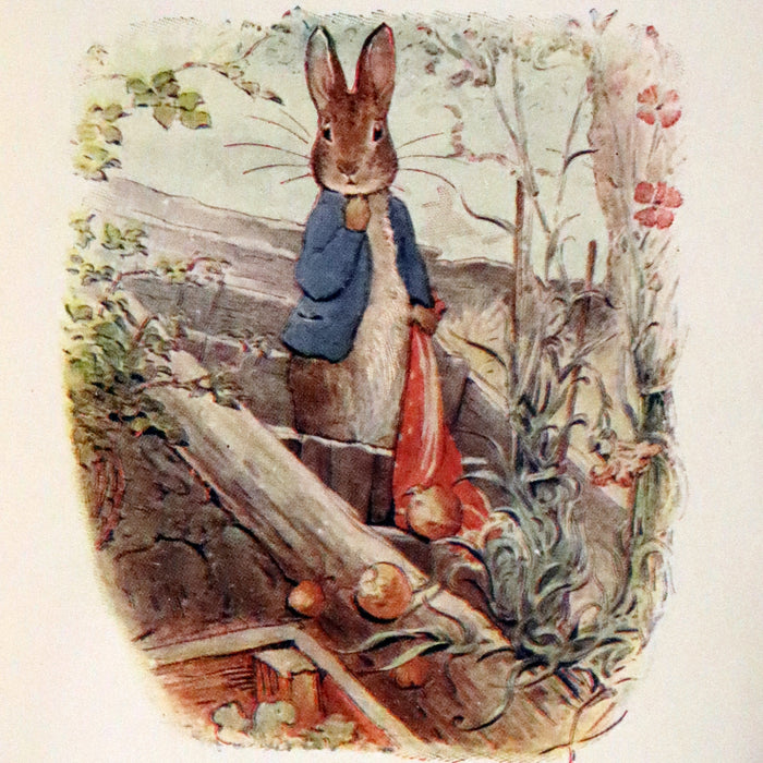 1904 First US Edition - The Tale of Benjamin Bunny by Beatrix Potter.